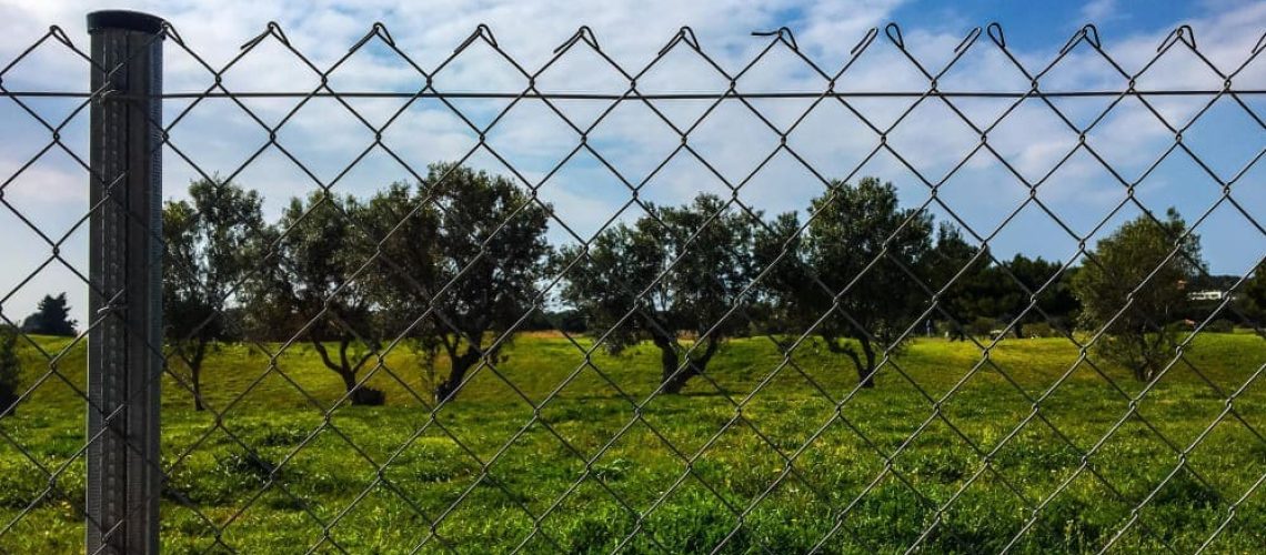 field-seen-through-chainlink-fence-against-sky (1) (1) Malla metálica en un frutal.