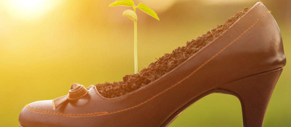 shutterstock_1028032489(FILEminimizer)