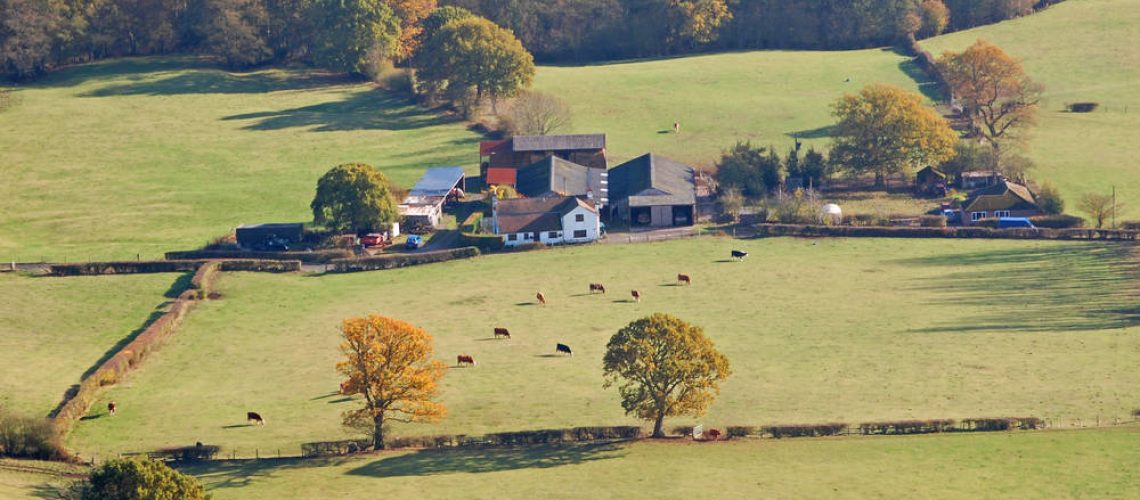 shutterstock_188840435reducida